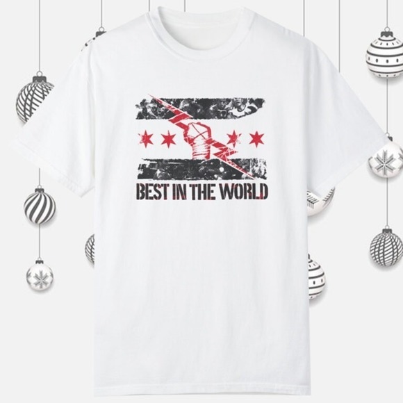 Other - Cm Punk Best In The World Tshirt
